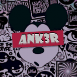 ANK3R