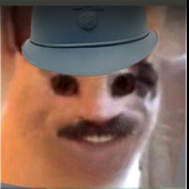 Elozlomki15