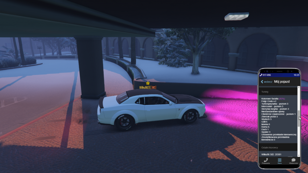 Grand Theft Auto V Screenshot 2020.12.24 - 10.25.26.85.png
