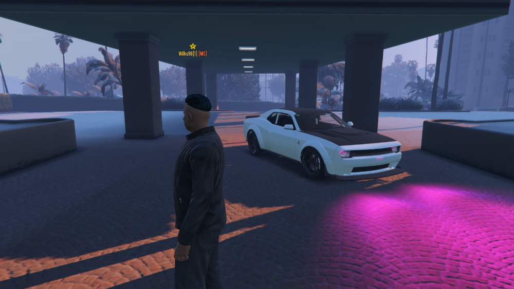 Grand Theft Auto V Screenshot 2020.12.24 - 10.24.49.30.png