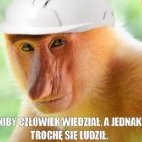 UnknownPikaczure