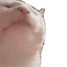 vMatey