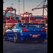Skinny_bull