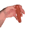 Schoni69