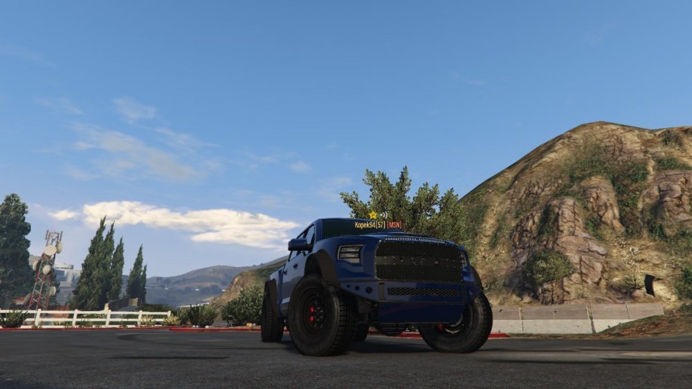 caracara1.jpg
