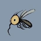 Mosquito