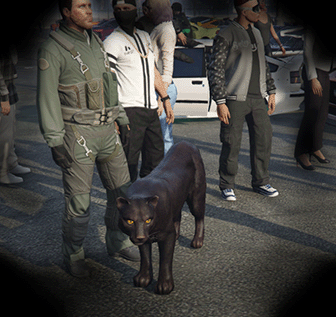 puma.gif.30dbcc40a062efa033a2d385d0e5092b.gif
