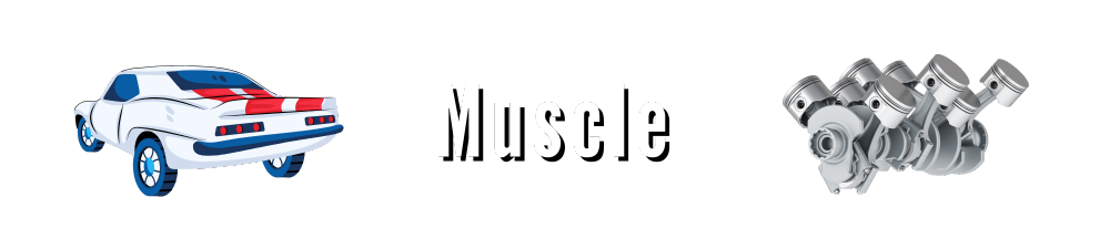 Muscle