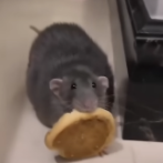 raweejn