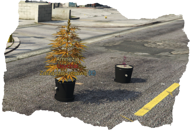 usycha.png.30b5a05d15ed417631b588eb3aabb818.png