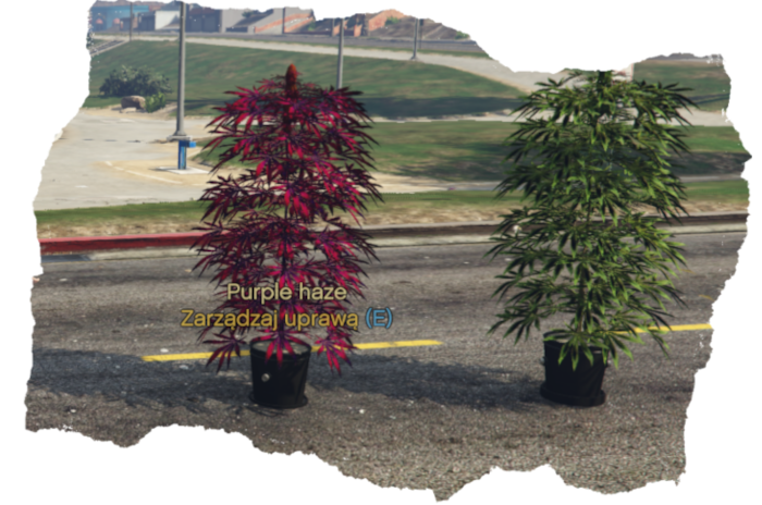 weed.png.b177ecf7c9133749220b13909db159ca.png