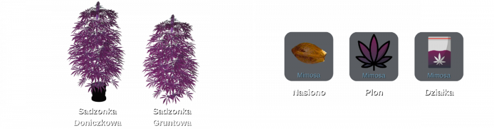 krzaczory.thumb.png.46307ab9527a40890f07fcb667b85758.png