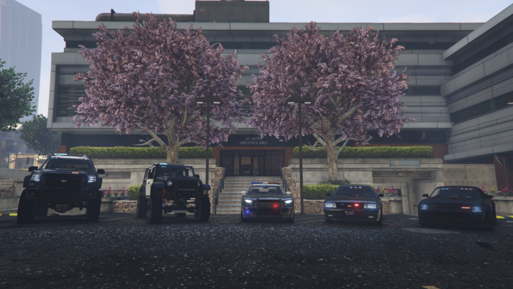 RGMultiplr05_09.202520_39_58.thumb.png.5edb938ce22b401a293dafdaaaebd86d.png