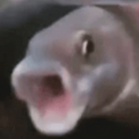 ArkeNnx