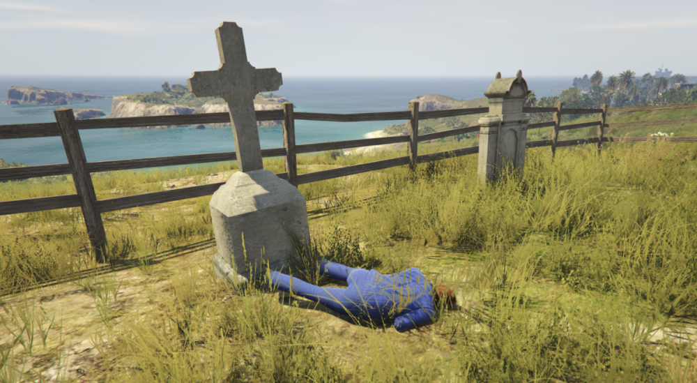 ragdoll.thumb.png.4db45710e85ac6e0eb2f3d822bbc59da.png