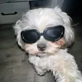 MrDiablo7