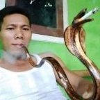 wilqq