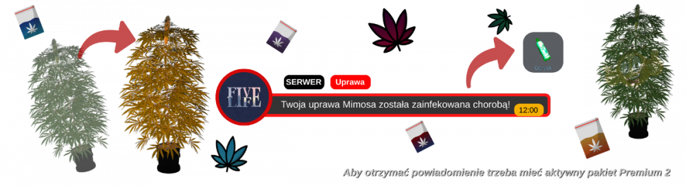 image.thumb.png.fbc0bcadd7b3c59b1cef15b470061361.png