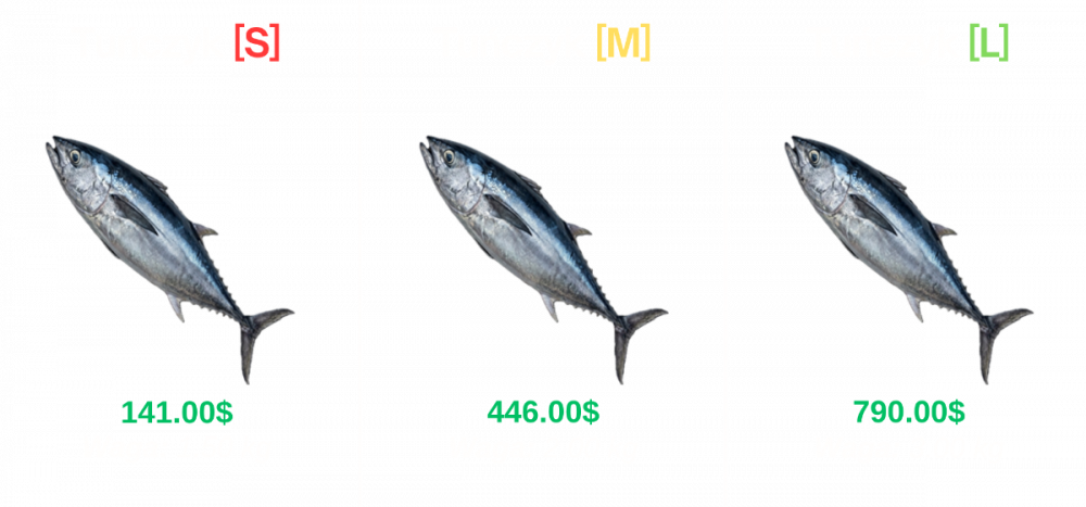 image.thumb.png.5d5a40cbf78cbd94da8fc3e9d36a8fcc.png